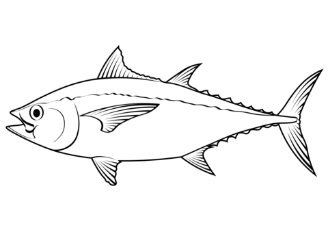 Blackfin Tuna (Thunnus Atlanticus) Coloring Page